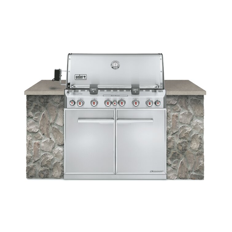 Weber 2025 summit s460